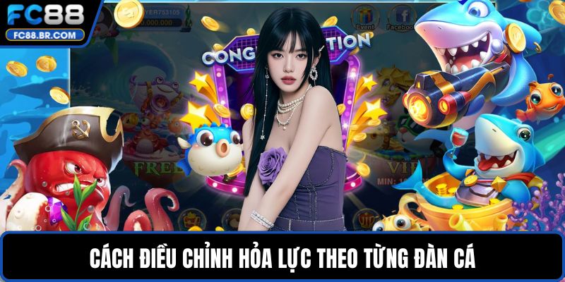 Cách điều chỉnh hỏa lực theo từng đàn cá