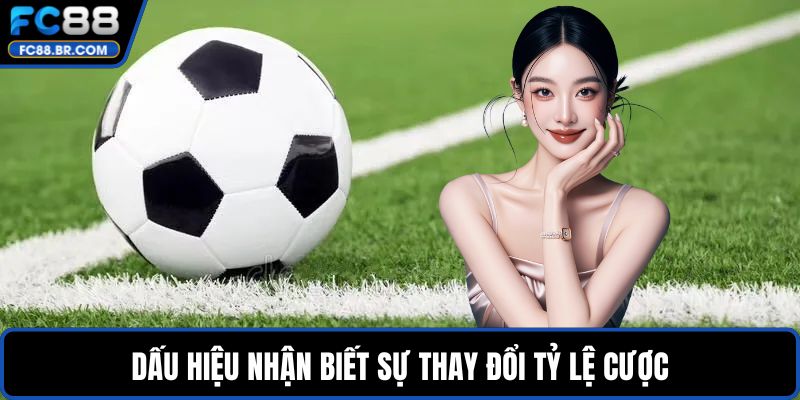 Dấu hiệu nhận biết sự thay đổi tỷ lệ cược