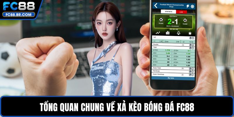 Tổng quan chung về xả kèo bóng đá FC88
